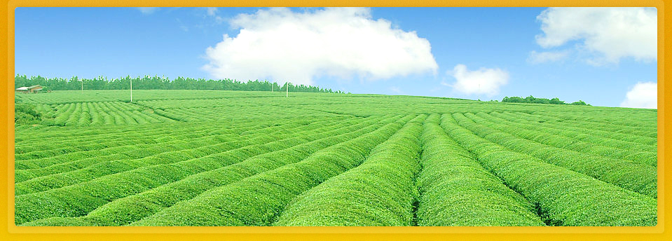 云南华中农业科技有限公司